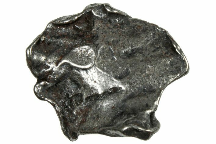 Gebel Kamil Iron Meteorite ( g) - Egypt #302655